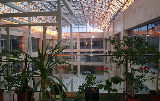 80,8, фото № 1